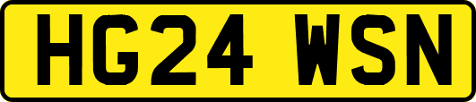 HG24WSN