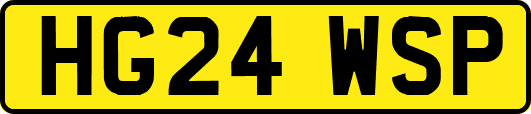HG24WSP