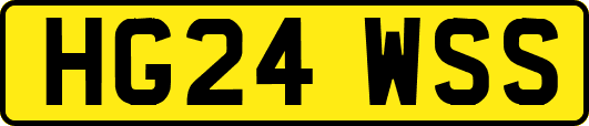 HG24WSS