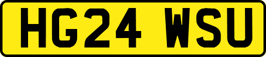 HG24WSU