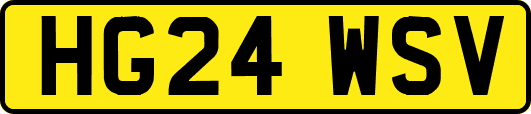 HG24WSV