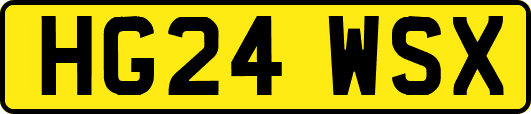 HG24WSX
