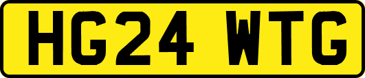 HG24WTG