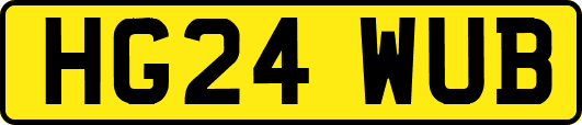 HG24WUB