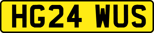 HG24WUS