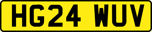 HG24WUV
