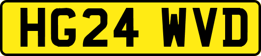 HG24WVD