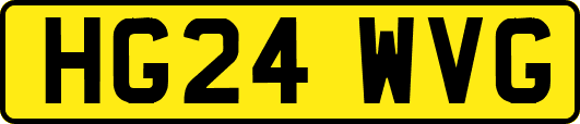 HG24WVG