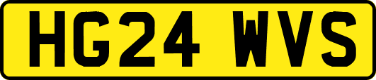 HG24WVS