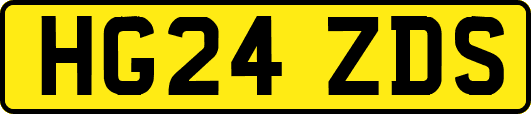 HG24ZDS