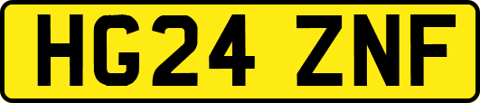 HG24ZNF