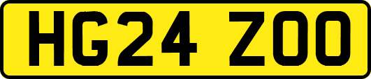 HG24ZOO