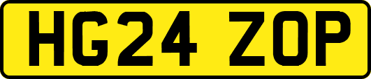 HG24ZOP