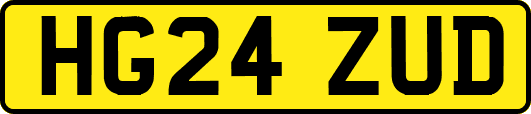 HG24ZUD