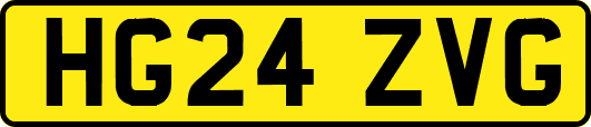 HG24ZVG