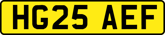 HG25AEF