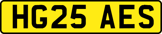 HG25AES
