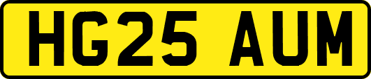 HG25AUM