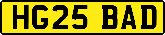 HG25BAD