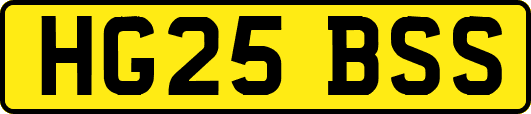 HG25BSS