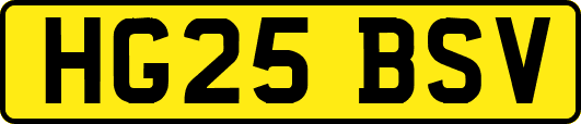 HG25BSV