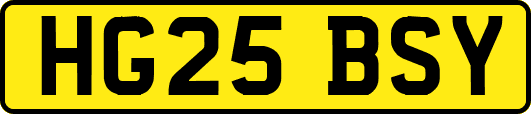 HG25BSY