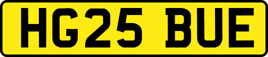 HG25BUE
