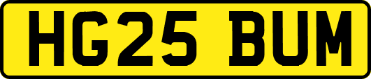 HG25BUM