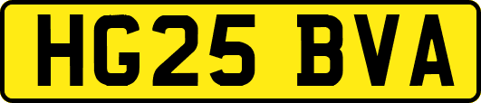 HG25BVA