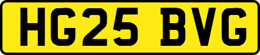 HG25BVG
