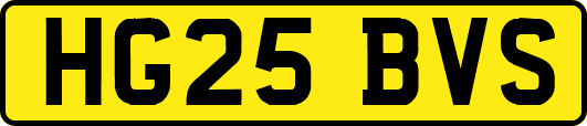 HG25BVS