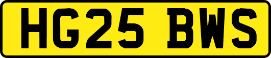 HG25BWS