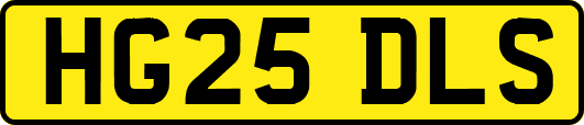 HG25DLS