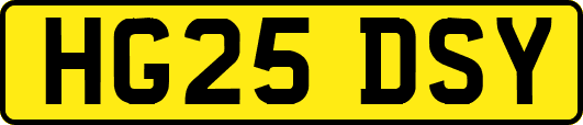 HG25DSY