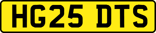 HG25DTS