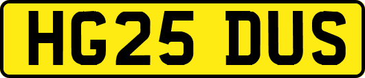 HG25DUS