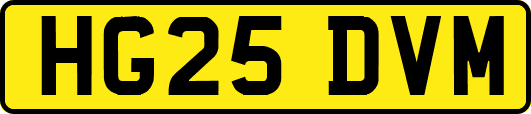 HG25DVM