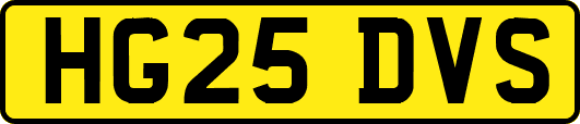 HG25DVS