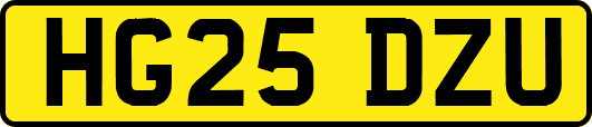 HG25DZU