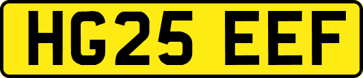 HG25EEF