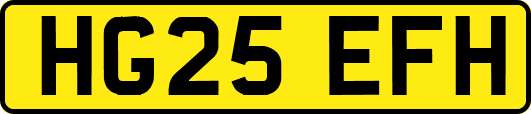 HG25EFH