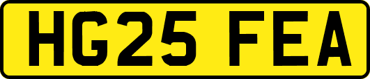 HG25FEA