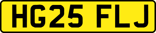 HG25FLJ
