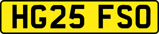 HG25FSO