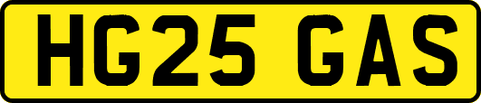 HG25GAS