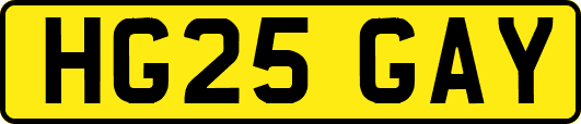 HG25GAY