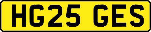 HG25GES