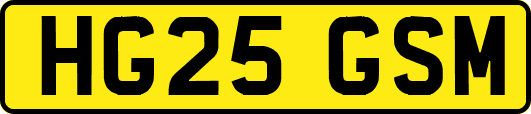 HG25GSM