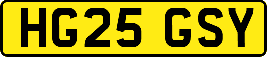 HG25GSY