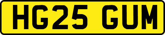 HG25GUM